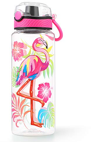 Jolie bouteille d'eau pour enfants scolaires, sans BPA Tritan et anti-fuite avec couvercle rabattable et poignée facile à nettoyer et à transporter 680 ml (flamant rose, 65 oz)