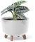 Prosperplast Gracia Vaso da Fiori con Gambe Rimovibili incl. Inserto per Uso Interno ed Esterno Fioriera Rotonda in plastica (⌀ 200mm, Bianco)