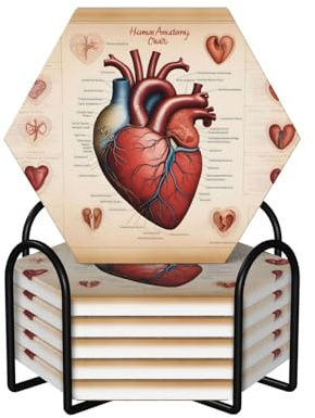 Hexagon 6 ceramic coasters Human Anatomy Heart Chart Prints : Non-slip cork bottom Fits all Coffee Cups Sports Cups and Mugs