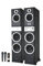 Torre altoparlante professionale | Lettore USB/SD | Radio FM | Lettore MP3 | funzione Karaoke con 2 microfoni | Bluetooth