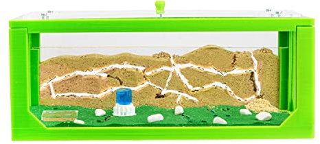 AntHouse - Natürliche Ameisenfarm aus Sand Grün | 3D Big Starter Set 30x15x10 cm | Ant Farm | Inklusive Ameisenkolonie