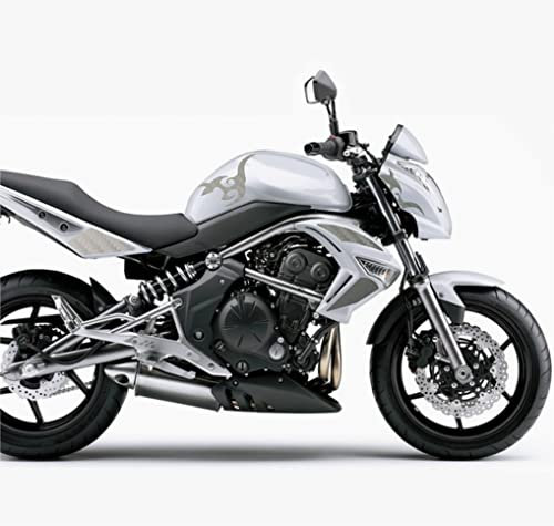 DualColorStampe Aufkleber kompatibel mit Kawasaki ER-6N (2009-20011) Tank DX-SX Sticker Moto Motorbike COD.M0148 (Carbon Silber)