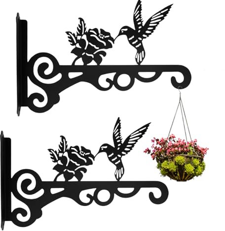 Fyeme 2 soportes para cestas colgantes de 25 cm, ganchos de pared, colgantes de metal, diseño de colibrí, ganchos para colgar macetas, lámparas de pared, nidos de pájaros, linternas, carillones de