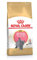 Royal Canin KITTEN British Shorthair Katzenfutter 10 kg, 1er Pack (1 x 10 kg)