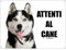 SIBERIAN HUSKY Hundeschild Mod 3 Blechschild