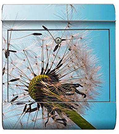 motivX-Ideenwerkstatt Briefkasten Kombi Wandbriefkasten mit Motiv Pusteblume