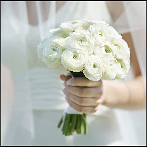 Ranunkeln Zwiebeln Kollektion (5-15Pflanzen/Zwiebeln) Mix Von 3 Sorten Für Garten,3 Von Jeder Farbe,Ranunkeln Zwiebeln Winterhart Mehrjährig,Garten Ranunkeln Pflanzen (10Zwiebeln,A)