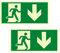Ksvaye 2 Piezas 30 x 15cm Cartel Salida de Emergencia Homologado Autoadhesivo Luminiscente Señal de Salida de Emergencia,Ruta de Escape Señal Ruta de Rescate (Hacia Abajo) (abajo)
