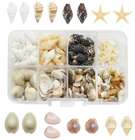 Sukizifa Muscheln zum Basteln, 240 Natürliche Muscheln und Seesterne | Maritime Muscheln Deko ohne Bohrung, für Schmuck, Tischdeko, Strandprojekte und DIY, ca. 240 Stück