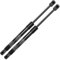 Frankberg 2x Gasfeder Dämpfer Heckklappe Kompatibel mit Golf II 19E 1G1 Schrägheck 1983-1992 Stilo 192 Schrägheck 2001-2006 Replace# 191827550A
