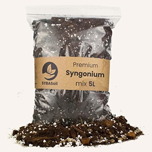 Sybotanica Syngonium-Erde 5 L – Premium Coco Blumenerde für Syngnonium, Pilea & mehr, Torffrei & 180 Tage Bio-Dünger – Für Zimmerpflanzen-Liebhaber