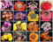 Rebutia Varietà Mix fioritura esotica Colore Cactus rari Kaktus Sementi Aloe 25 SEMI