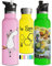 Double Insulated Water Bottle with Straw Lid & Sports Cap | Stainless Steel BPA Free Eco Friendly Non Sweat Durable Finish 500ml / 600ml / 750ml Metal Hydro Thermos (600 ml, Pink)