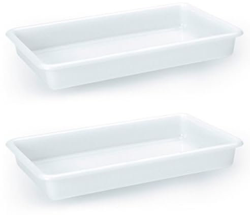 AC - Pack de 2 Bandejas Frigorificas - Capaciadad de 2,1 L - Fabricado en Plástico - Apto para Microondas y Congelador - 4,5 x 34,5 x 20,5 cm - Color Blanco