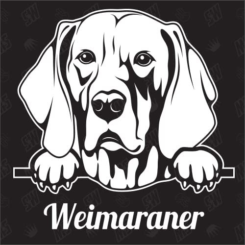 Weimaraner Version 1 - Sticker, Hundeaufkleber, Autoaufkleber, Hund, Auto, Hunderassen, Aufkleber, Mischling, Mix, Tiere, Haustier (AUCH MIT Wunschname MÖGLICH)
