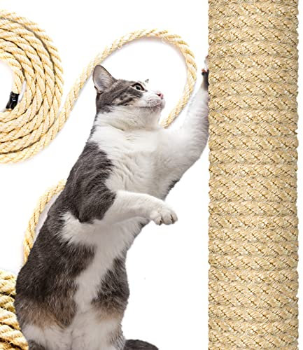 DQ-PP SISALSEIL | 1 m | 10 mm stark | Natürliches Sisal Seil für Kratzbaum Katzenbaum | Kratzseil DIY Fuer Katzen Ersatzteile