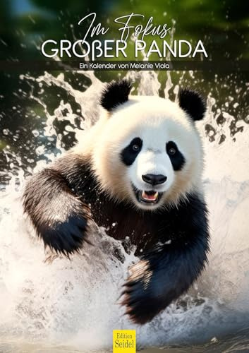 Edition Seidel Premium Kalender Im Fokus Großer Panda 2026 Format DIN A3 Wandkalender Tierkalender China Pandas Pandabär Bär Säugetier Berge Bambus Wald Melanie Viola