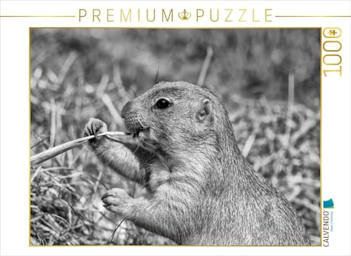 CALVENDO Puzzle Präriehund Snack | 1000 Teile Lege-Größe 64 x 48 cm Foto-Puzzle für glückliche Stunden