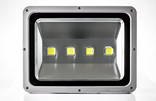 Greenmigo 10W 20W 30W 50W 100W 150W 200W 300W LED Fluter Strahler Gartenlampe Kaltweiß Licht mit Silbergrau Aluminium Gehäuse Wasserdicht IP65 85-265V