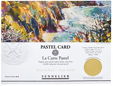 Sennelier La Carte Pastell Karten-Pochette, 40 x 27,9 cm, Monochromatisch, Neapelgelb