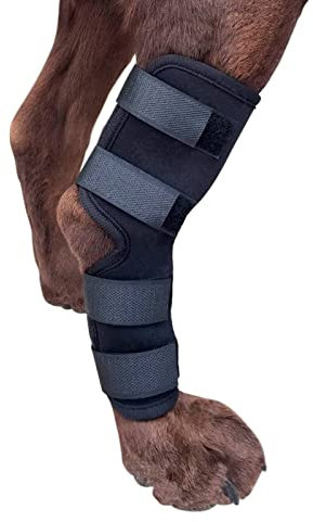 Jiawu Beinstütze, Hinterbein-Sprunggelenksstütze für Hunde, Gelenkkompressions-Hundebandage Zur Genesung, Extra Unterstützende Knie-Sprunggelenks-Sprunggelenksstütze für Hunde (M)