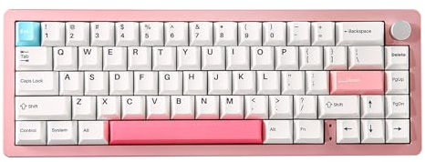 YUNZII AL66 Wireless Mechanical Keyboard,65% Knob Control Aluminum Gaming Keyboard Bluetooth/2.4G/Wired Hot Swappable Pre-lubed Switches,Gasket Mounted RGB Keyboard for Win/Mac(Milk Switch, Pink)