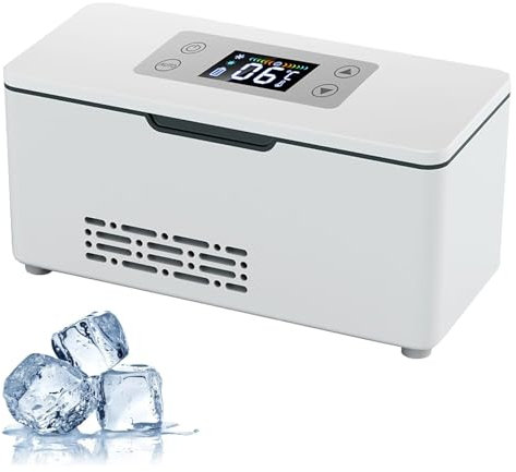 Pfjyc Nevera Medicamentos Portatil Nevera Insulina de 2-8 ℃, Estuche para Bolígrafo de Insulina para Refrigerador, Nevera Insulina Viaje (Size : Lithium Battery x 2)