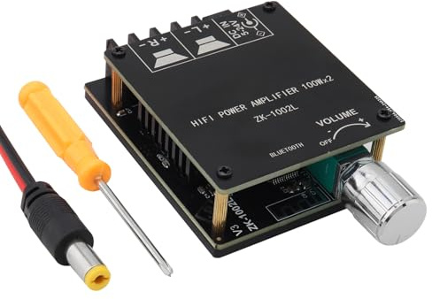 DiGiYes ZK-1002L - Mini placa amplificadora Bluetooth, 100 W + 100 W, 2 canales BT 5.0, receptor de audio estéreo, módulo digital, amplificador para altavoces pasivos domésticos