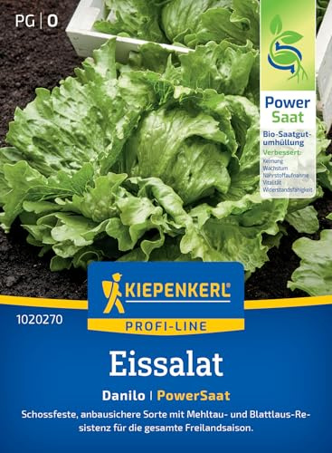 Kiepenkerl Eissalatsamen Danilo 1020270, Gemüsesaat | Schossfeste, anbausichere Salatsamen für die Freilandsaison