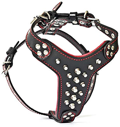 Bestia |Rocky| Leder Brustgeschirr für Französische Bulldoggen. 100% Leder. Handgefertigt. Top Qualität