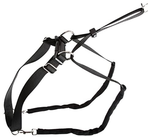 Kerbl Chien Harnais Maxi Leader 25-30 cm Noir