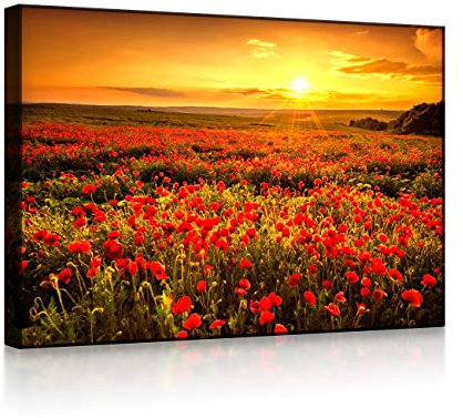 lightbox multicolor | Beleuchtete Bilder | Mohnblütenfeld bei traumhaftem Sonnenuntergang | 60x40 cm | Front Lighted