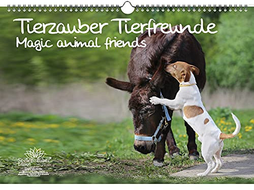 Tierzauber Tierfreunde DIN A3 Kalender - Immerwährender Kalender verschiedene Tiere und ihre Freundschaften - Seelenzauber