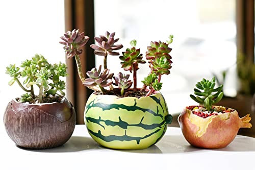 SE SUN-E Sukkulenten Töpfe Pflanzgefäße Lebensechte Früchte Form für Haus Dekorationen, Büro dekorative, Pflanzgefäße für Indoor-Pflanzen Frauen im Freien Garten Pflanzer 3pcs/Satz