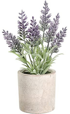 EGLO LIVING Kunstpflanze Chitose, künstlicher Lavendel im Topf, naturgetreue Deko Pflanze für Wohnzimmer, Kunstblume aus Kunststoff in Grün und Paper Pulp in Braun, 22 cm