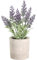 EGLO LIVING Kunstpflanze Chitose, künstlicher Lavendel im Topf, naturgetreue Deko Pflanze für Wohnzimmer, Kunstblume aus Kunststoff in Grün und Paper Pulp in Braun, 22 cm