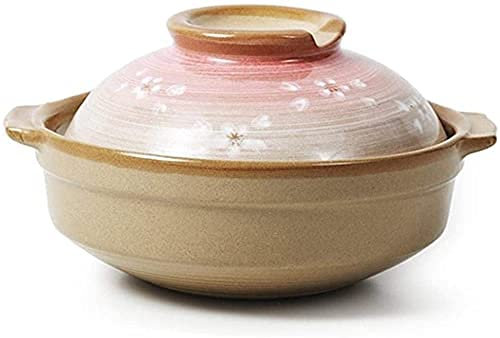 ZAANU Cazuela de Sopa, estofado, Cacerola Cacerola de Hierro Fundido con Tapa para Horno Pyrex Cazuelas con Tapas, cazuela doméstica Cacerola de Gran Capacidad (3,5 l)