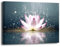 LZIMU Toile murale Zen - Fleur de lotus rose dans l'eau - Impression sur toile pour yoga, spa, méditation - Décoration spirituelle encadrée (Zen-4, 40,6 x 61 cm)