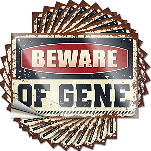 Hardhat-Sticker und Abziehbilder Beware of Gene, lustiger Aufkleber, 10 Stück, Autoaufkleber (Größe: 12 x 18 cm)