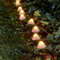 LED Garten Stecker Lichterkette Pilze warm weiß - 20er Set - Garten Deko Beleuchtung mit Timer Batterie betrieben - Herbst Winter Weihnachten Gehwegleuchte für Außen mit 8 Leuchtfunktionen