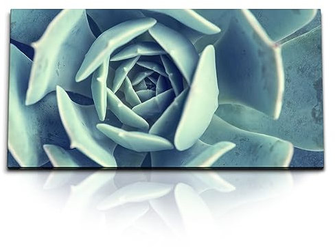 Paul Sinus Quadro da parete 120 x 60 cm - Piante grasse arte su tela, motivo naturale, moderno da parete, design minimalista, piante verdi, decorazione della stanza