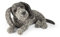 Dora Designs Dog Doorstop - Cocker The Cocker Spaniel