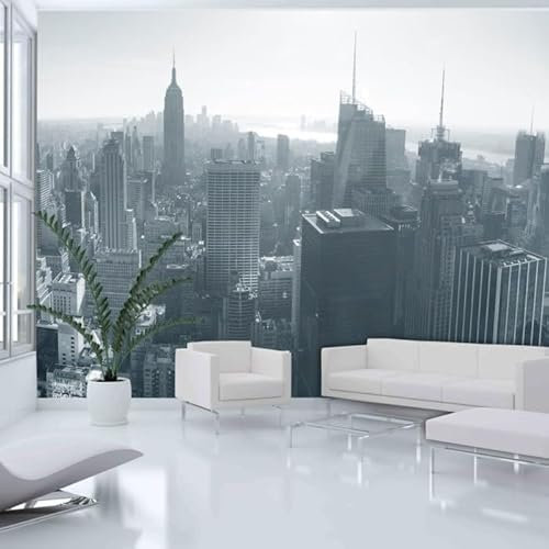 Paris Prix Papier Peint Panorama de New York en Noir & Blanc 270 x 350 cm