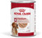 Royal Canin Medium Adult Nassfutter | 12 x 410 g | Alleinfuttermittel für ausgewachsene, mittelgroße Hunde von 11 bis 25 kg | Von 12 Monaten bis 10 Jahre