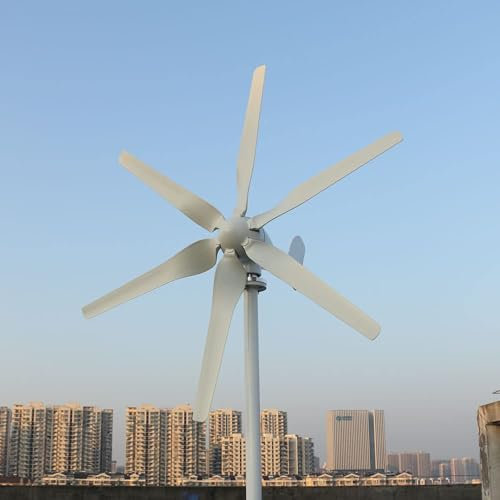 Generador Eólico 800W 12V 24V 48V, Turbina Eólica Horizontal de 6 Aspas con Controlador de Carga MPPT para Hogar (24, Voltios)