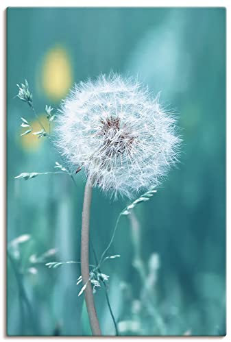 ARTland Wanddeko Leinwand Bilder Wandbild 60 x 90 cm Botanik Mikro Makro Pflanzen Blumen Pusteblume Frühling Sommer T2RV