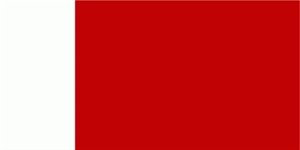 Flagge Fahne ca. 90x150 cm : Dubai