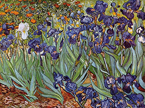 1art1 Vincent Van Gogh Poster Iris,1889 Kunstdruck Bild 80x60 cm