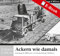 Ackern wie damals - Unimog: Unimog & Mbtrac in historischen Bildern