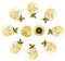 JIABOSE 10pcs 30mm Crystal Gold Door Knobs for Cabinet Drawer Wardrobe Home Decorating with Silver Base